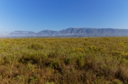 03 - Bontebok NP (3)